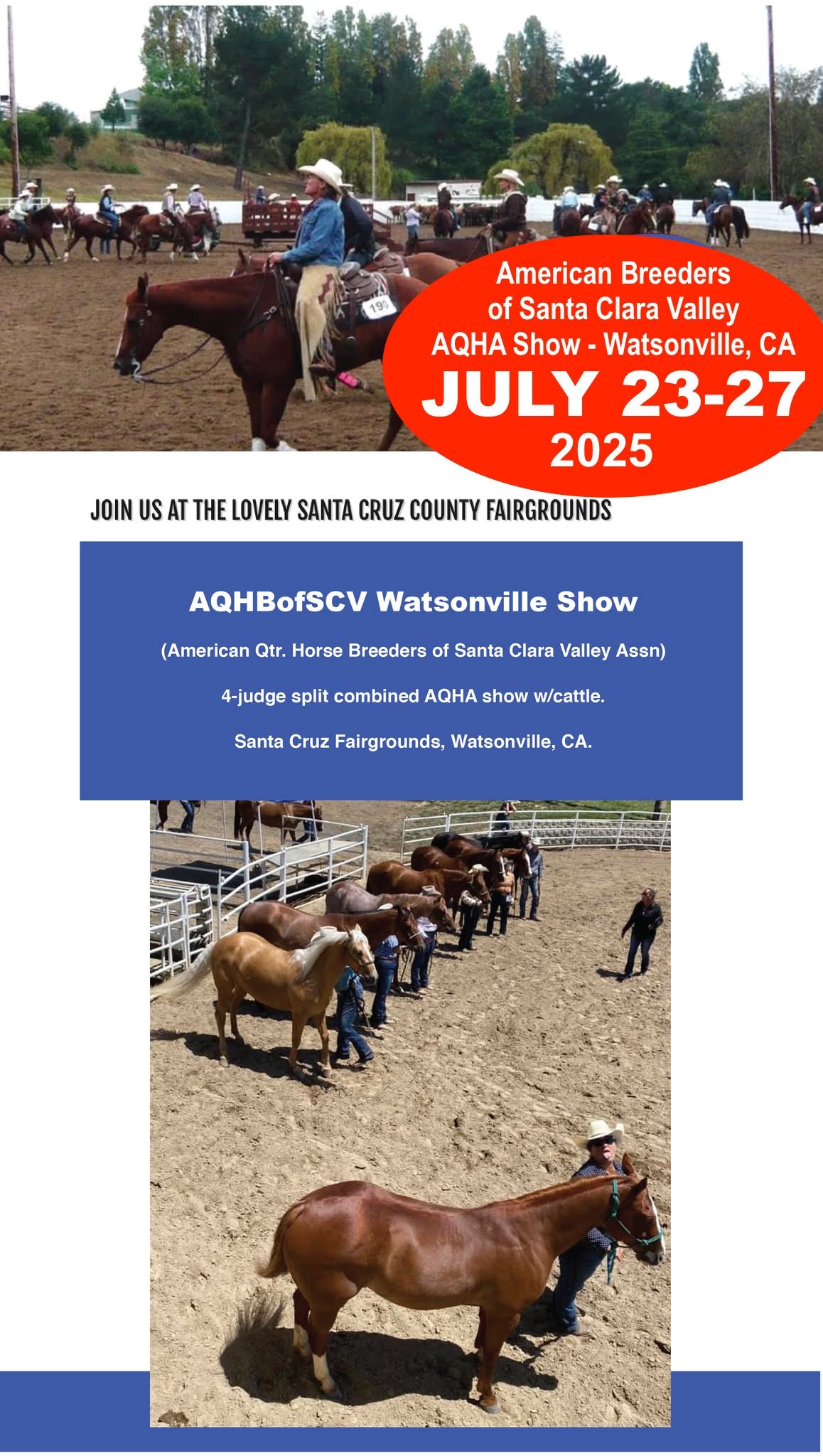 AQHBofSCV AQHA show - Watsonville, CA