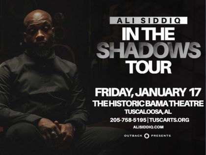 Ali Siddiq: In the Shadows