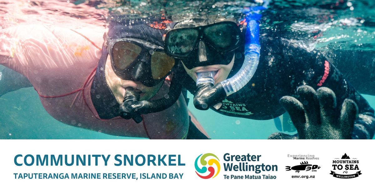 Community Snorkel: Taputeranga Marine Reserve