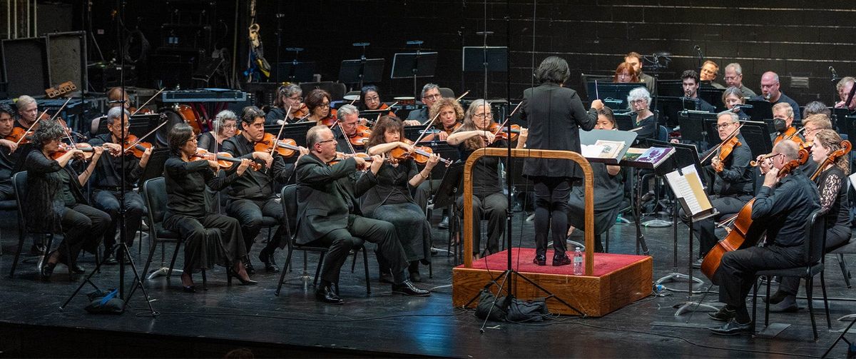 Chinese Music Ensemble of New York