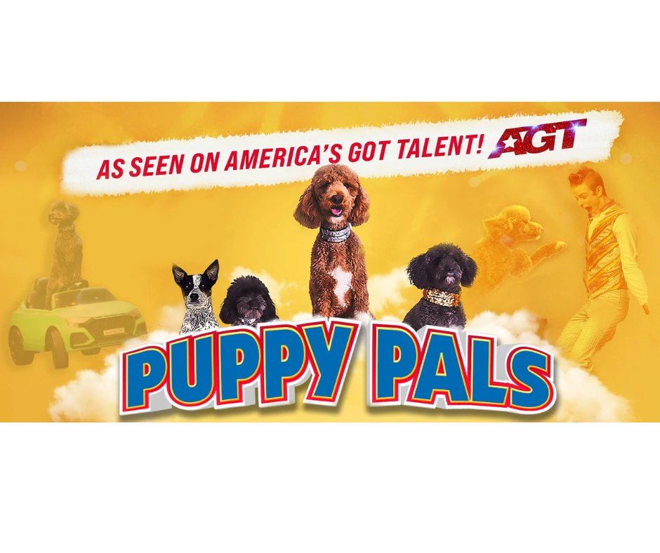 Puppy Pals LIVE