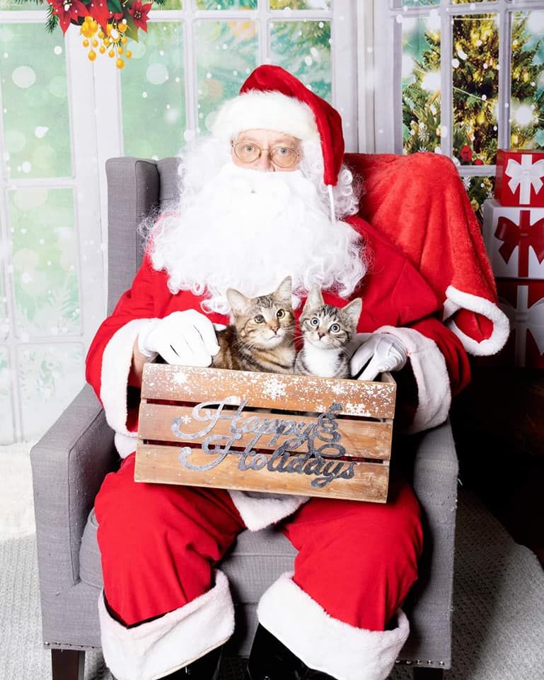 Santa Paws @ Coal Cats Cafe