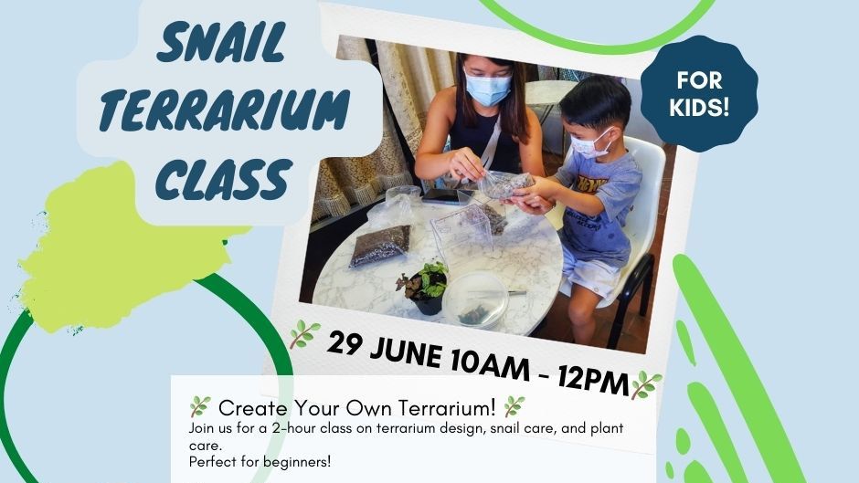 Snail Terrarium Class