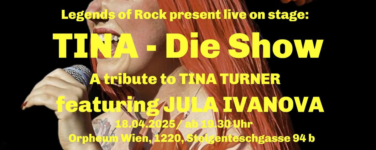 TINA - Die Show, A tribute to TINA TURNER