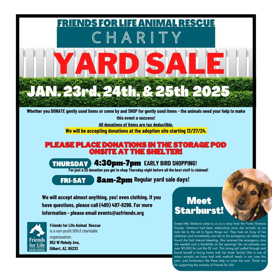 Annual Yard Sale