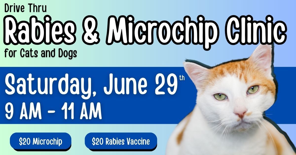 Rabies & Microchip Clinic for Cats & Dogs 