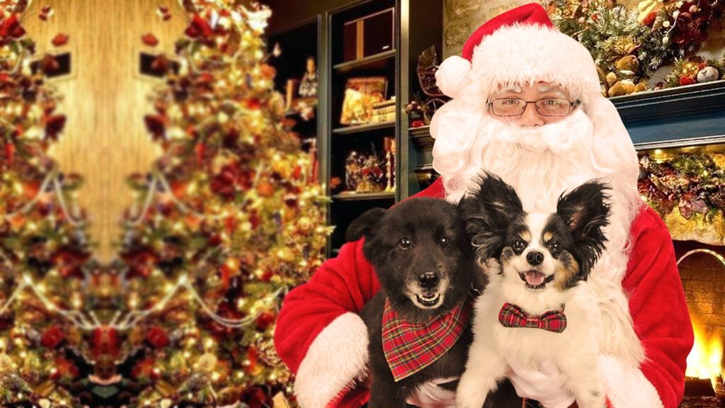 Picture Your Pet With Santa