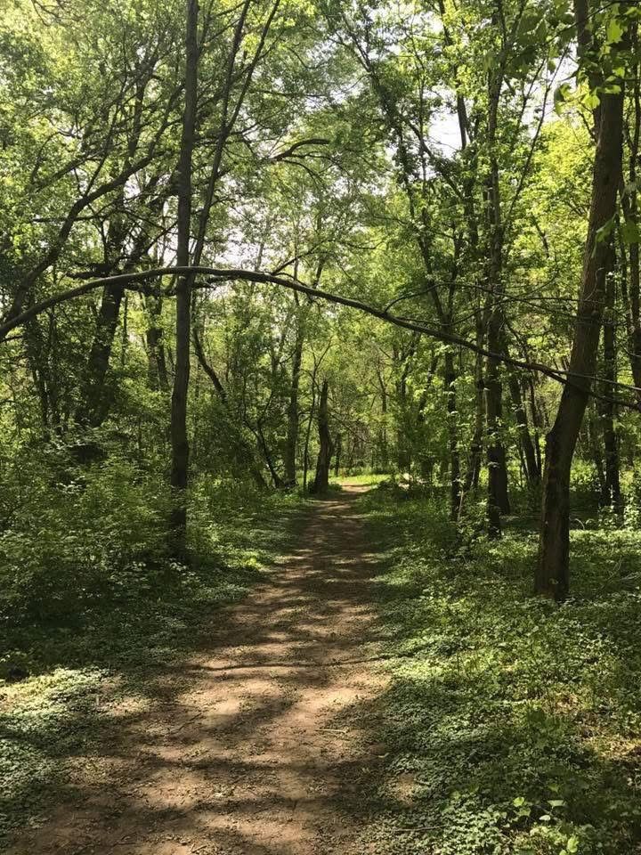 Spring Meditation and Gentle Yoga Hike