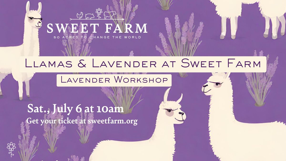 Llamas & Lavender: Lavender Workshop