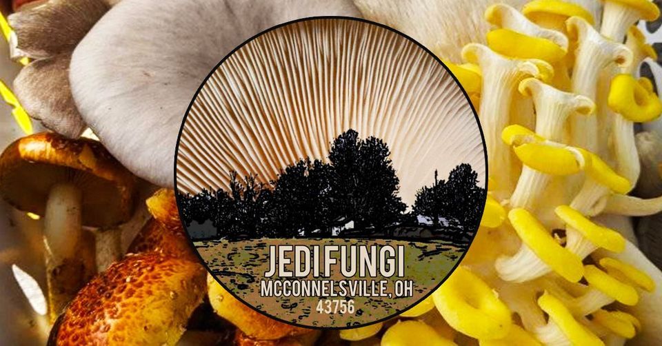 TUESDAY POP UP ~ Jedi Fungi