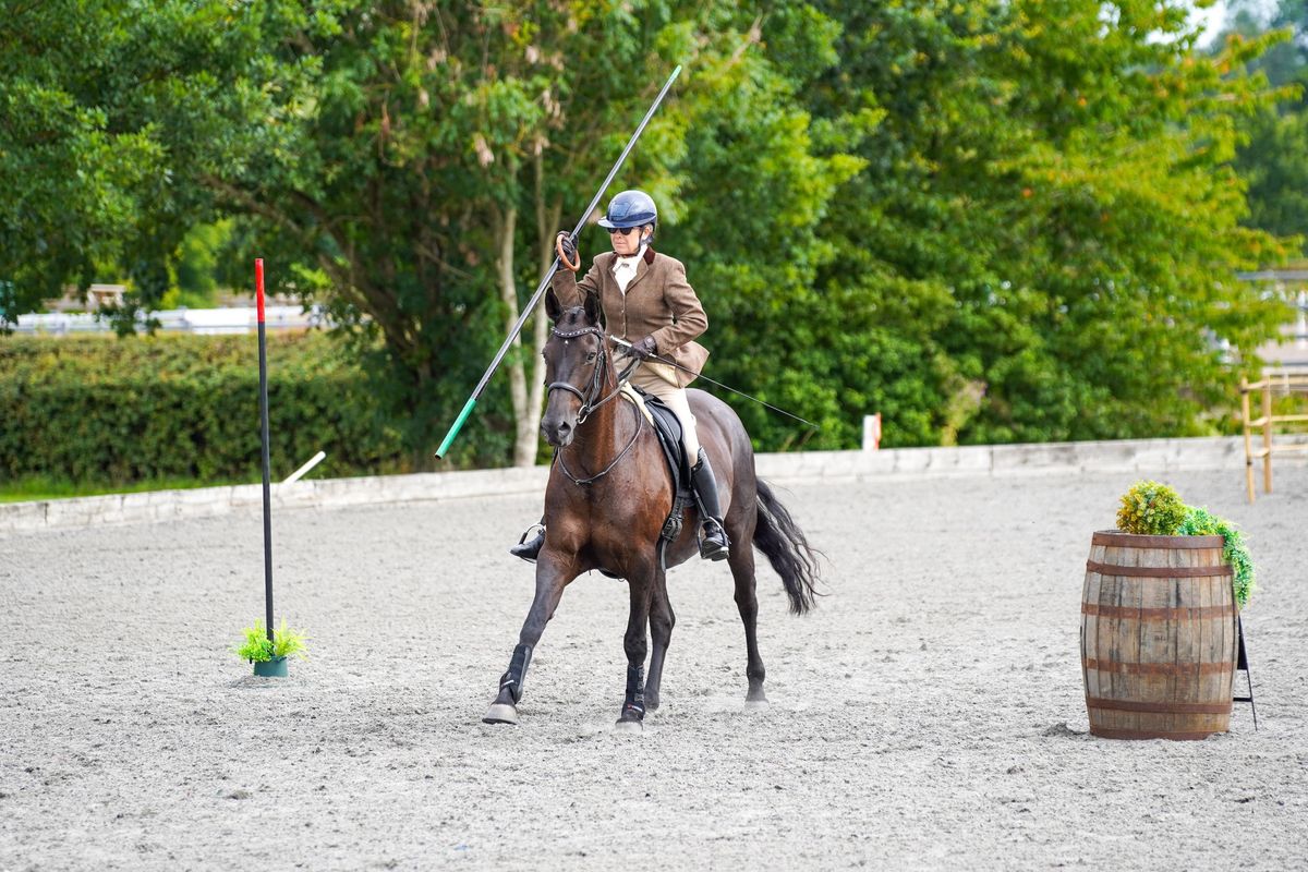 Working Equitation- Ease of handling obstacle & In hand work 