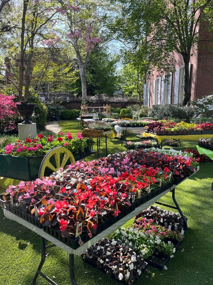 Hill-Physick House Annual Spring Plant Sale
