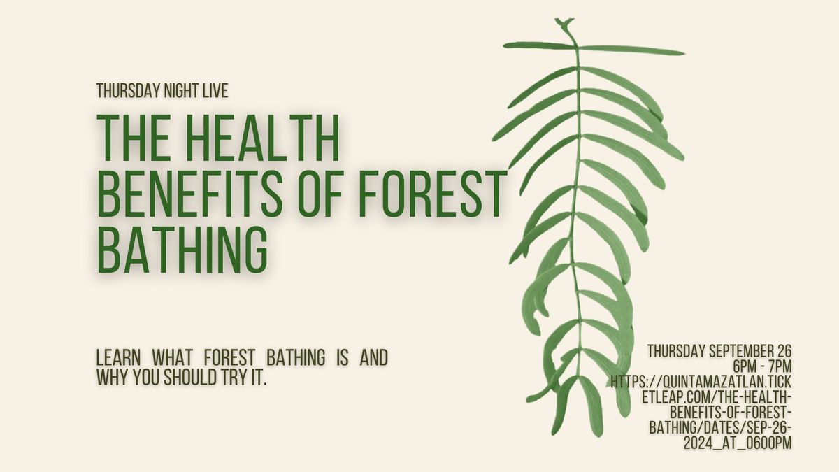 The Health Benefits of Forest Bathing