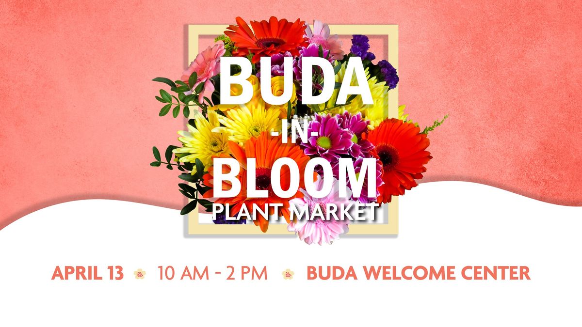 Buda in Bloom | April 13, 2025