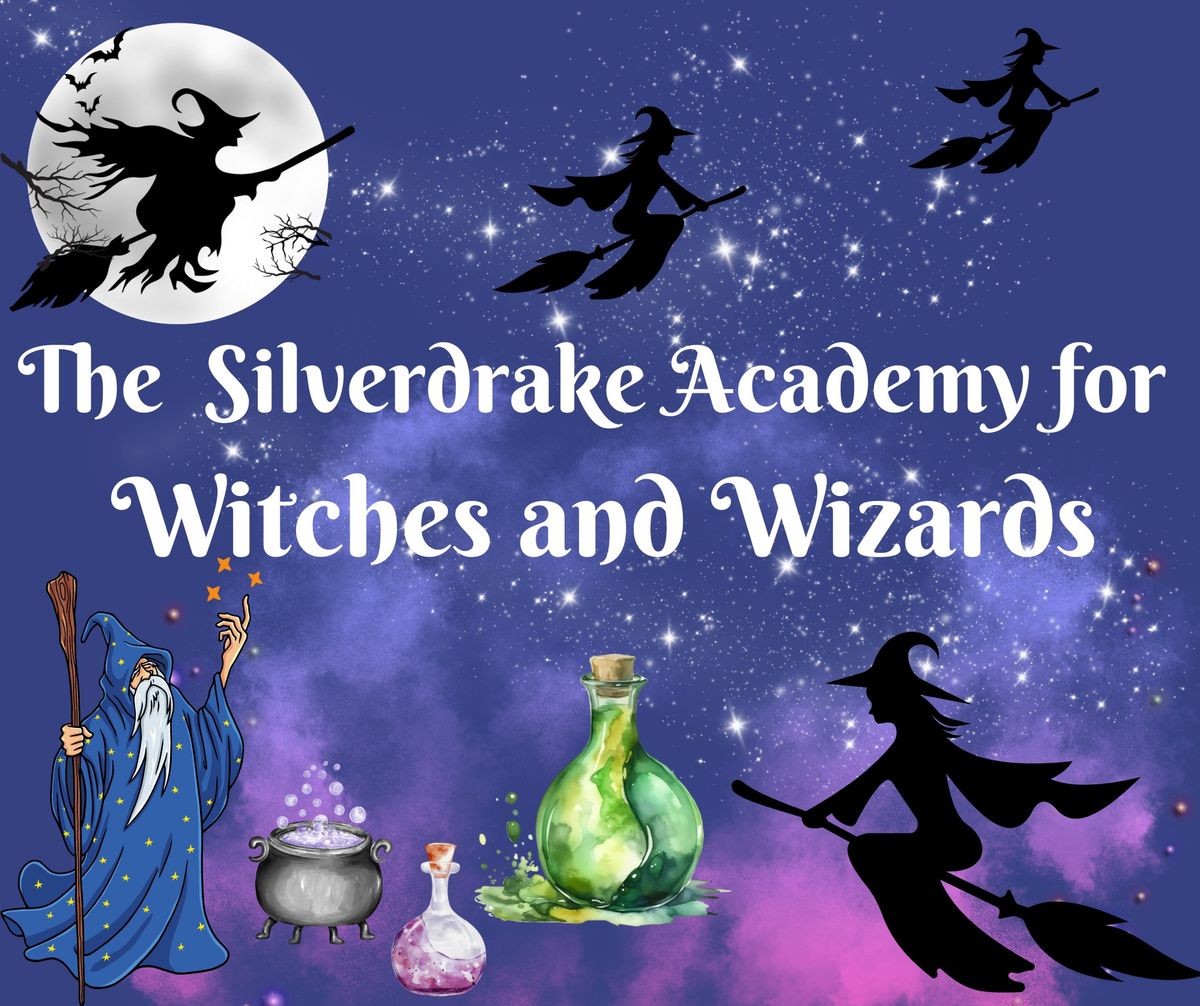 The Silverdrake Academy for Witches & Wizards