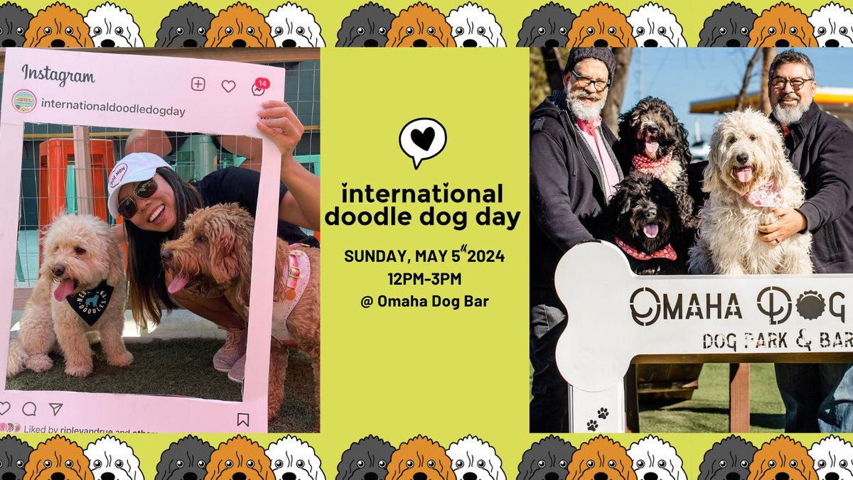 International Doodle Dog Day at Omaha Dog Bar