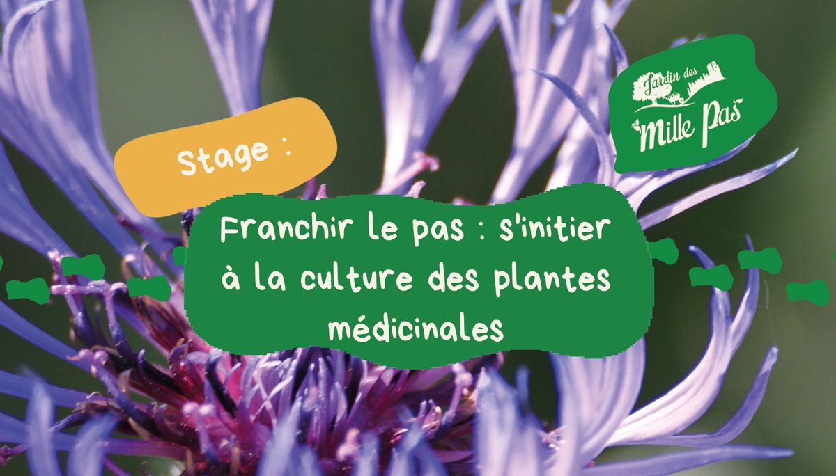 Stage 1 jour : s'initier \u00e0 la culture des plantes m\u00e9dicinales