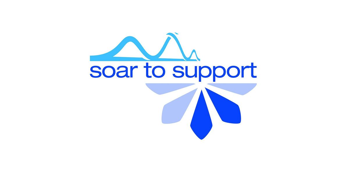 Soar to Support (Matagarup Bridge Climb + Zipline)