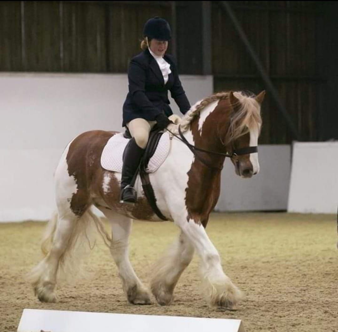 Pick Your Own Test Dressage Winter Series - DOUBLE POINTS!