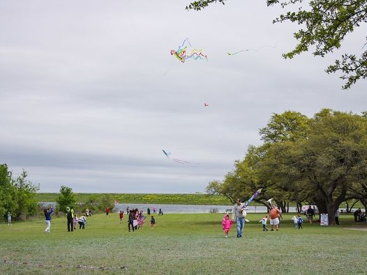 Kite Festival